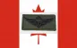 Preview: paratrooper jump wings canada